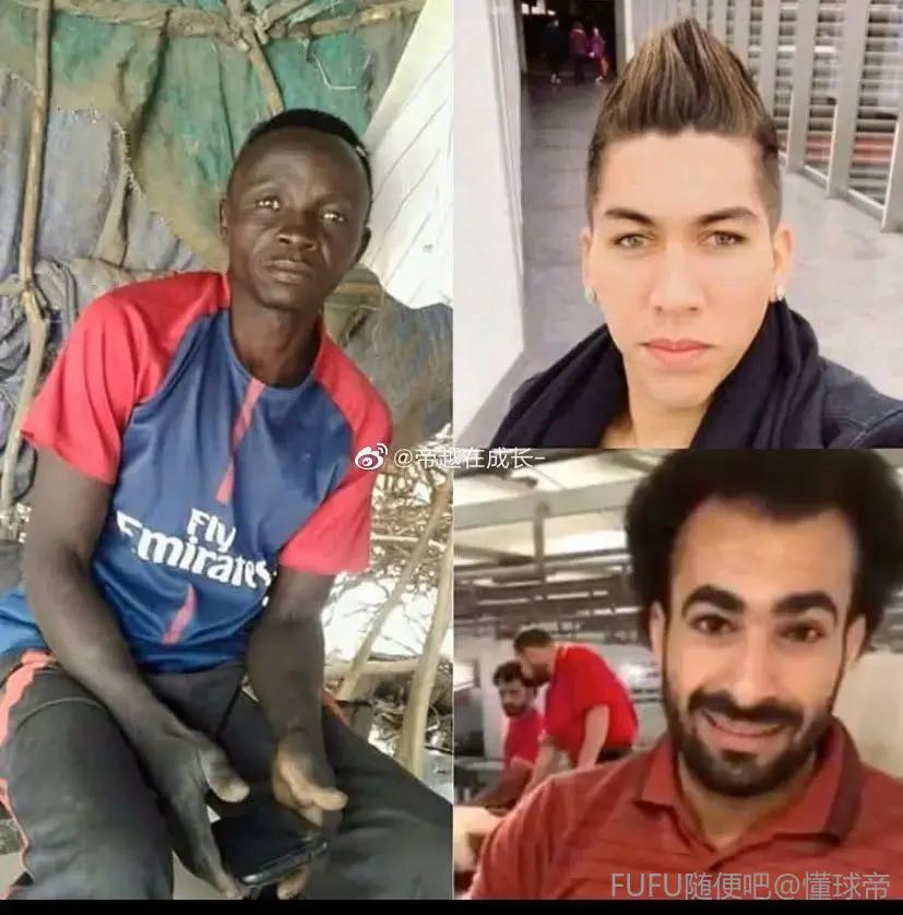 “蒲公英”线上直播课堂启动